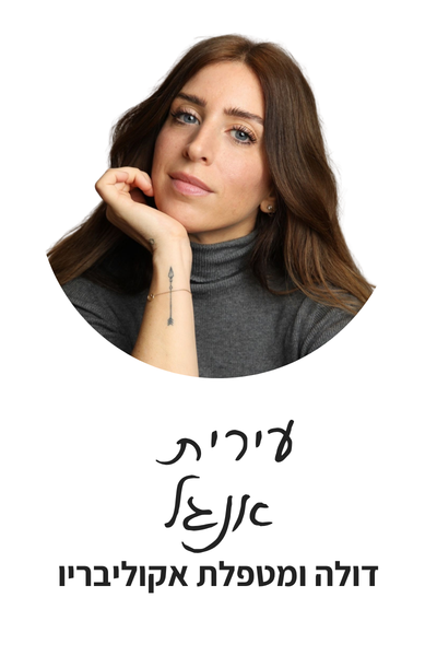 מרצים כנס